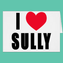I Love Sully I HEART Sully cards