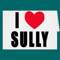 I Love Sully I HEART Sully cards