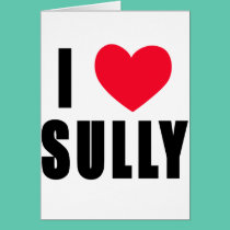I Love Sully I HEART Sully cards