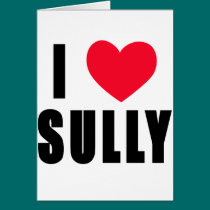 I Love Sully I HEART Sully cards