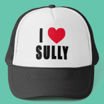 I Love Sully I HEART Sully hats