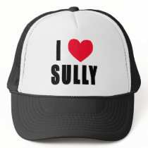 I Love Sully I HEART Sully hats