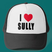 I Love Sully I HEART Sully hats