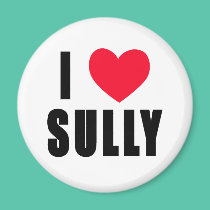 I Love Sully I HEART Sully magnets