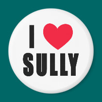 I Love Sully I HEART Sully magnets