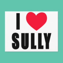I Love Sully I HEART Sully postcards