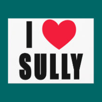 I Love Sully I HEART Sully postcards