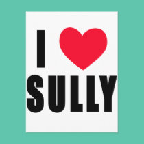 I Love Sully I HEART Sully postcards