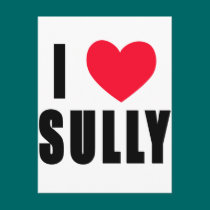 I Love Sully I HEART Sully postcards