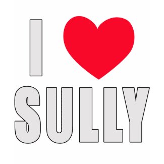 I Love Sully I HEART Sully shirt