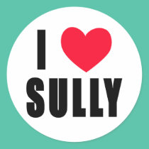 I Love Sully I HEART Sully stickers