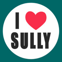 I Love Sully I HEART Sully stickers