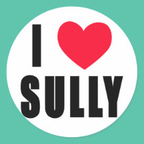 I Love Sully I HEART Sully stickers