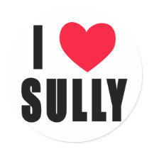 I Love Sully I HEART Sully stickers by greenbaby I Love Sully I HEART Sully stickers