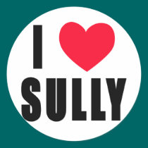 I Love Sully I HEART Sully stickers