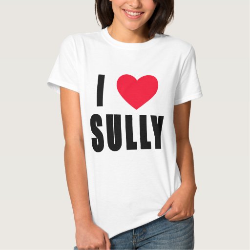 sully tshirt mens