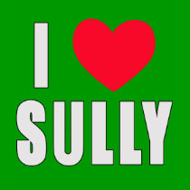 I Love Sully I HEART Sully t-shirts by greenbaby I Love Sully I HEART Sully t-shirts