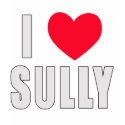 I Love Sully I HEART Sully t-shirts