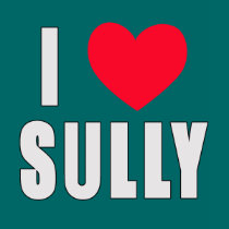 I Love Sully I HEART Sully t-shirts