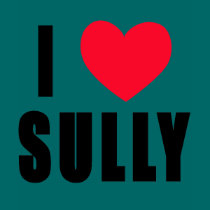 I Love Sully I HEART Sully t-shirts