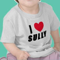 I Love Sully I HEART Sully t-shirts