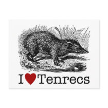 I Love Tenrecs postcards by naturetees I Love Tenrecs postcards