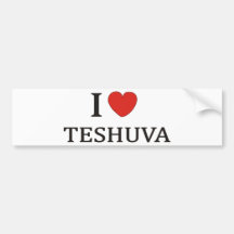 I LOVE TESHUVA NY BUMPER STICKERS