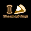 I love Thanksgiving t-shirts