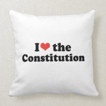 I LOVE THE CONSTITUTION - .png Pillows