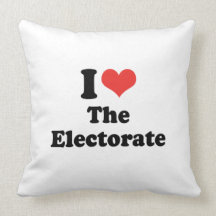 I LOVE THE ELECTORATE - .png Pillow