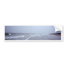 I Love The Ocean! bumper stickers