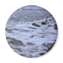 I Love The Ocean! magnets
