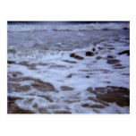 I Love The Ocean! Post Cards