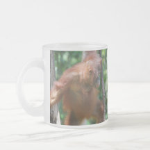 I Love the Rain Forest Coffee Mugs