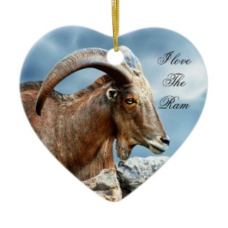 I love the Ram