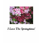 I Love The Springtime! green ladies tshirt
