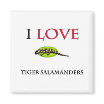 I Love Tiger Salamanders magnets