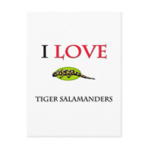 I Love Tiger Salamanders postcards by tshirtshirts I Love Tiger Salamanders postcards