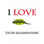 I Love Tiger Salamanders T-shirt