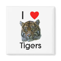I love tigers Magnet