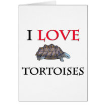 I Love Tortoises cards by tshirtshirts I Love Tortoises cards
