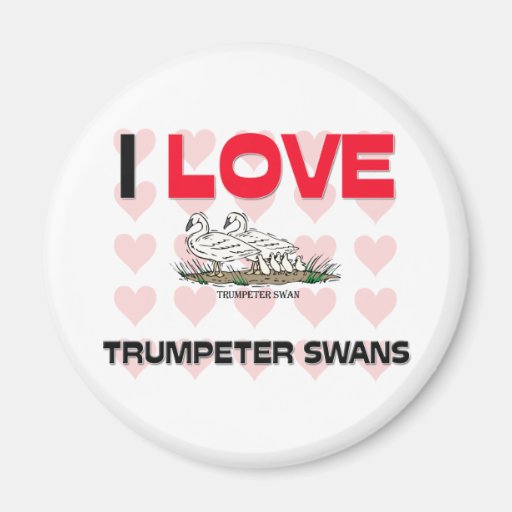I Love Trumpeter Swans Magnet