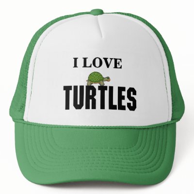 I Has Turtle
