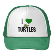 I Love Turtles Hat
