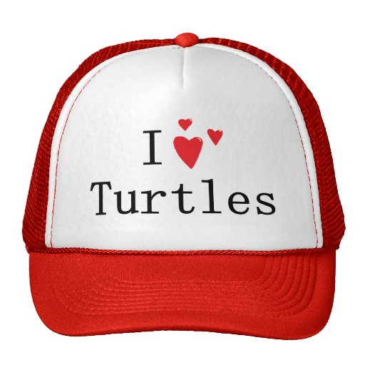 I Love Turtles Hats