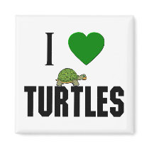 I Love Turtles magnets