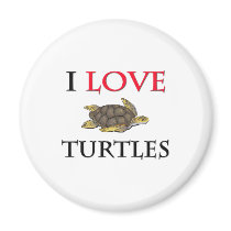 I Love Turtles Fridge Magnets