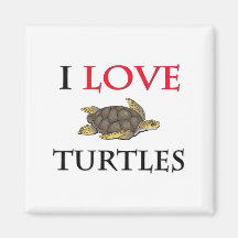 I Love Turtles Magnet