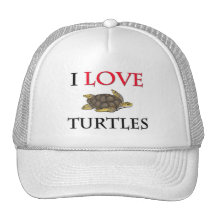 I Love Turtles Mesh Hat