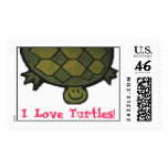 I Love Turtles!